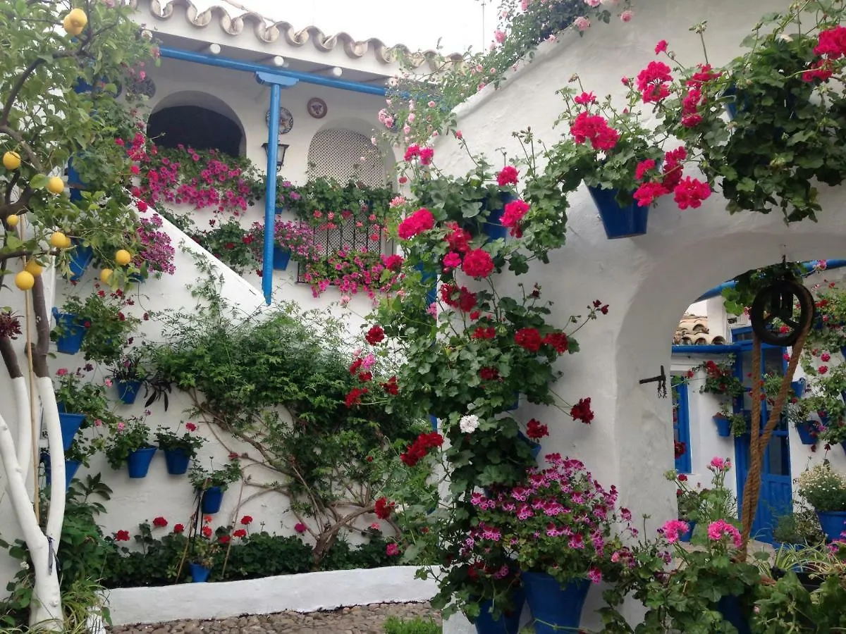 Appartement Patio San Lorenzo Cordoue Espagne