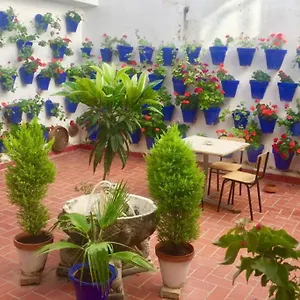 Toril-casco Historico Appartement