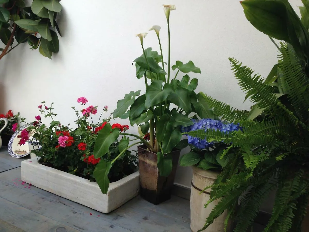 Patio San Lorenzo 코르도바 스페인