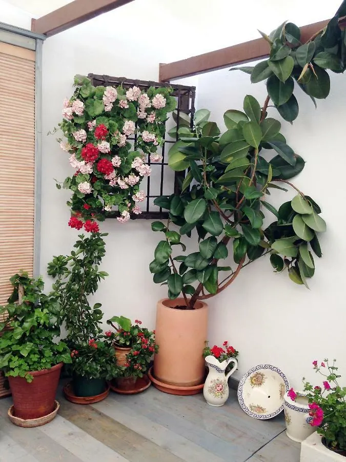 Patio San Lorenzo 코르도바