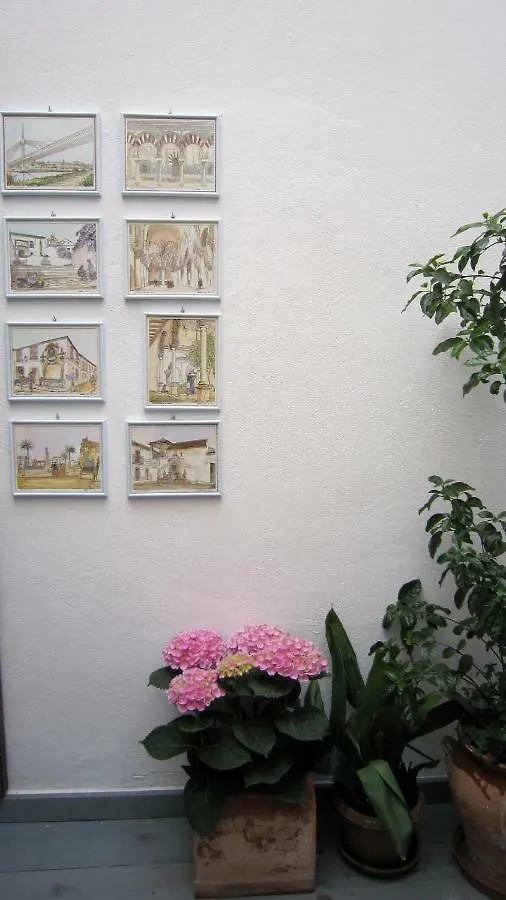 아파트 Patio San Lorenzo 코르도바